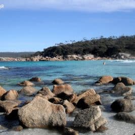 Les plages de la Tasmanie