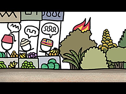 Why Poor Places Are More Diverse - Youtube Why Poor Places Are More Diverse - Voir la vidéo sur YouTube