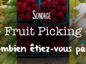Sondage 1 Alcheringa.fr - Fruit picking Combien Etes-vous payé