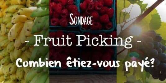 Sondage 1 Alcheringa.fr - Fruit picking Combien Etes-vous payé
